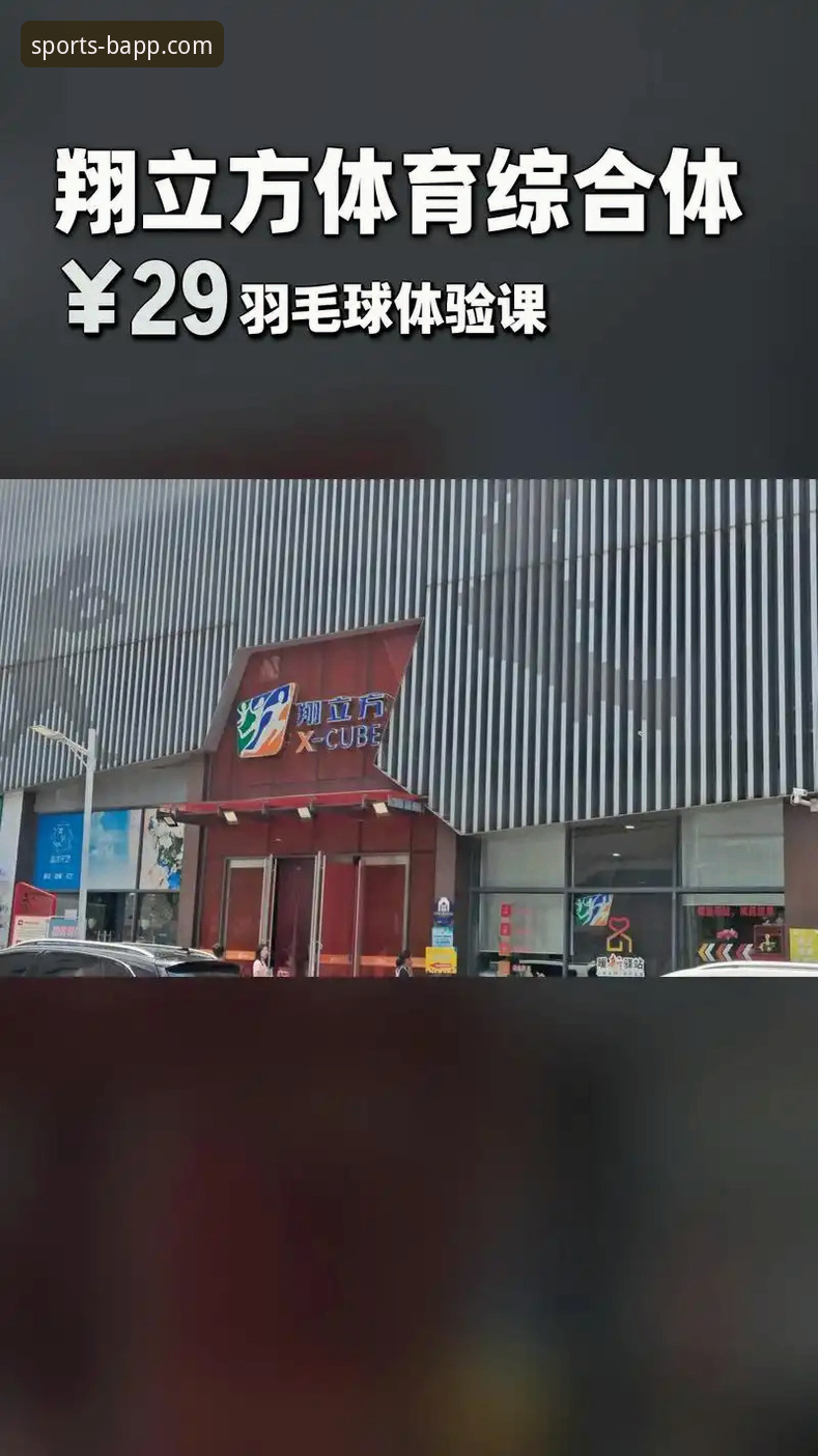 2024年B体育官方版最新动态：一站式体育观赛新体验全面升级